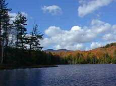 Autumn color under a fluffy blue sky.