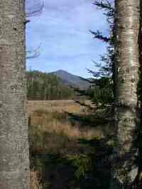 Whiteface Mountain